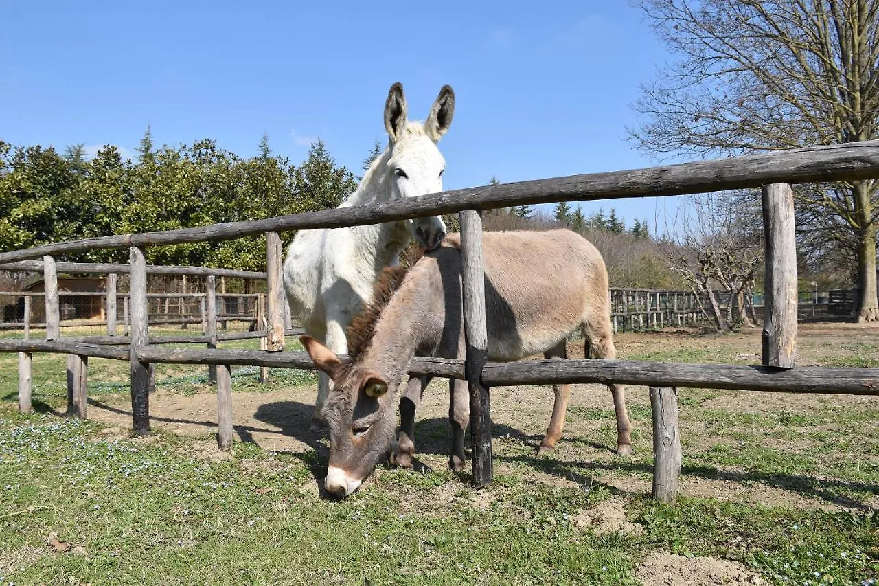 Venicegreen Agriresort Tessera Alloggio per agriturismo